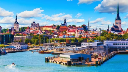 Estonya Şirketi KDV, EORI, IBAN Nedir?