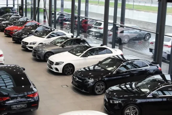 Arnavutluk'ta İş Yapma Yolları: Şirket Türleri ve Yapı Seçimi