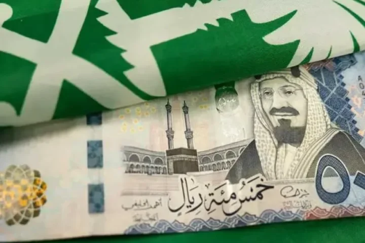 Suudi Arabistan’da Vergi Oranları