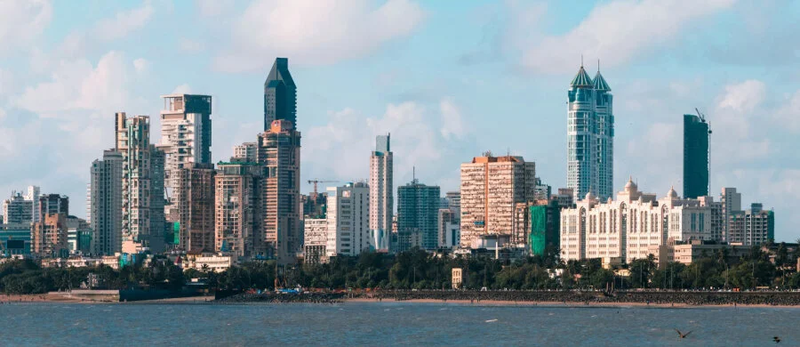 The Panamanian flag, a green waterfront park and the city skyline.